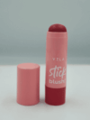 Stick Blush Vizzela