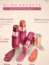 Blush Stick Daily Niina Secrets
